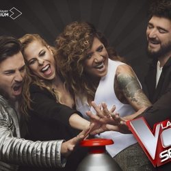 Póster de la segunda edición de 'La Voz Senior'