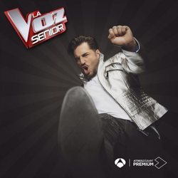 David Bustamante en la segunda edición de 'La Voz Senior'