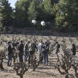 Àlex Gadea en una secuencia de 'L'Alqueria Blanca'