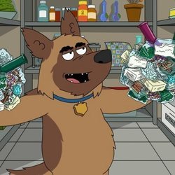 Bullet en 'Paradise Police'