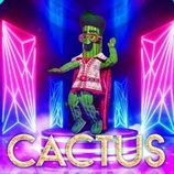 Cactus lucirá sus pinchos en la segunda edición de 'Mask Singer: Adivina quién canta'