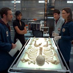 Emily Deschanel investiga unos huesos en 'Bones'