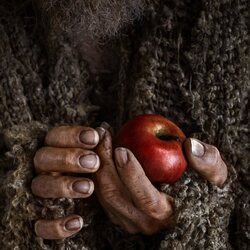 Póster de 'El Señor de los Anillos: Los Anillos de Poder', con una manzana