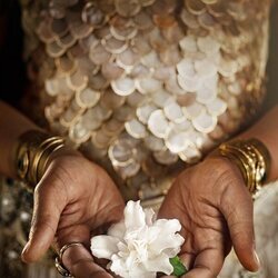 Póster de 'El Señor de los Anillos: Los Anillos de Poder', con una flor blanca