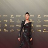 Blanca Romero posa en la alfombra roja de los Goya 2022