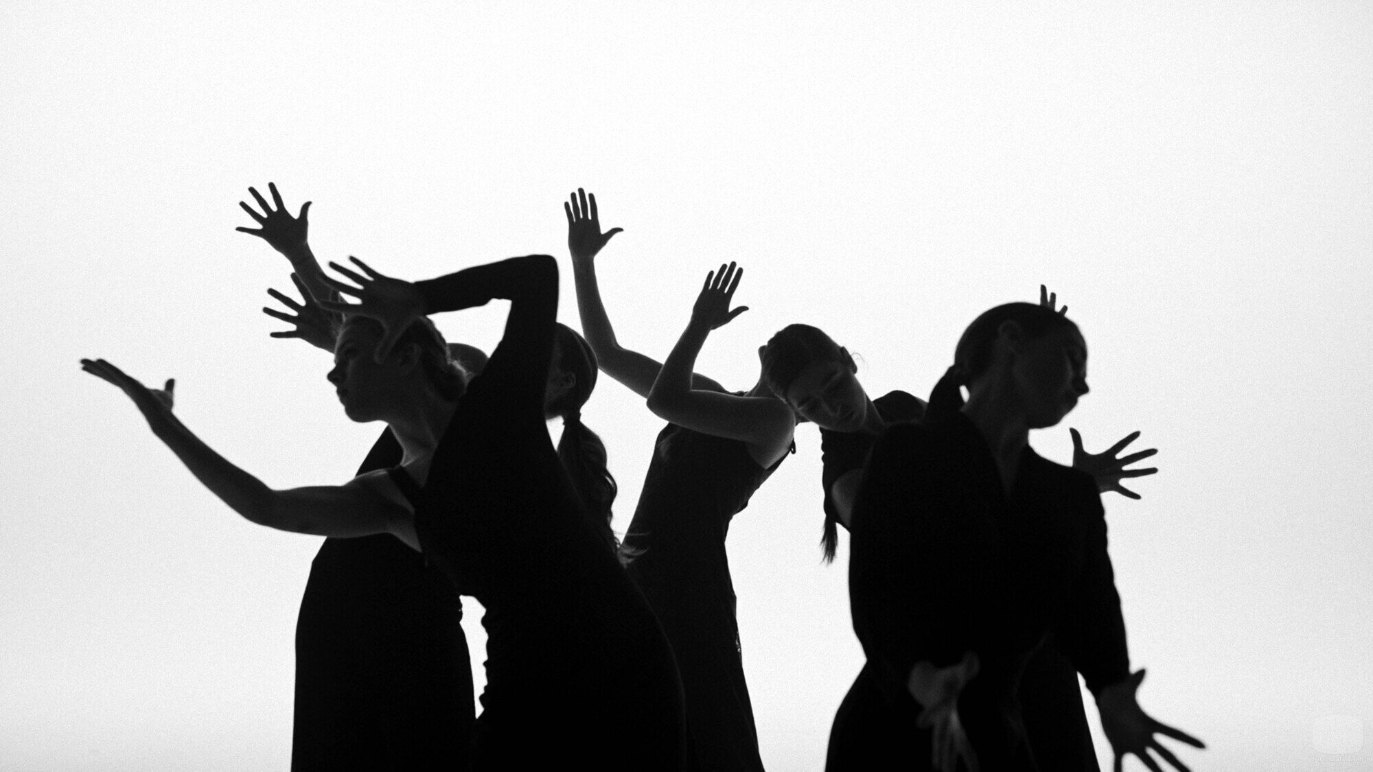 Cuerpo de baile de Blanca Paloma