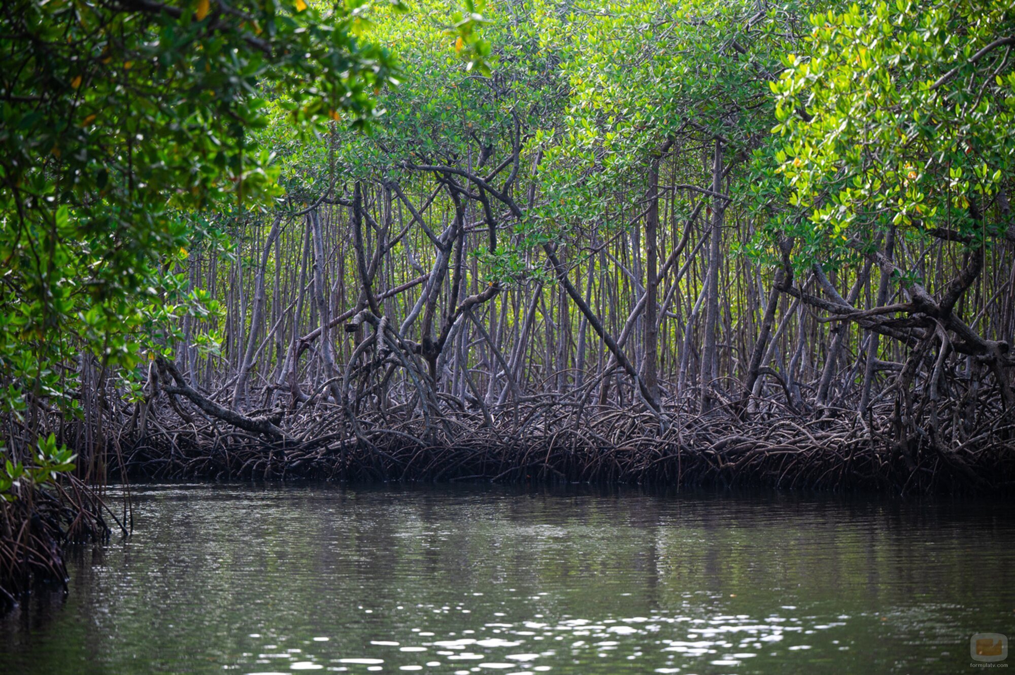 La localización de los manglares en 'El Conquistador' de TVE