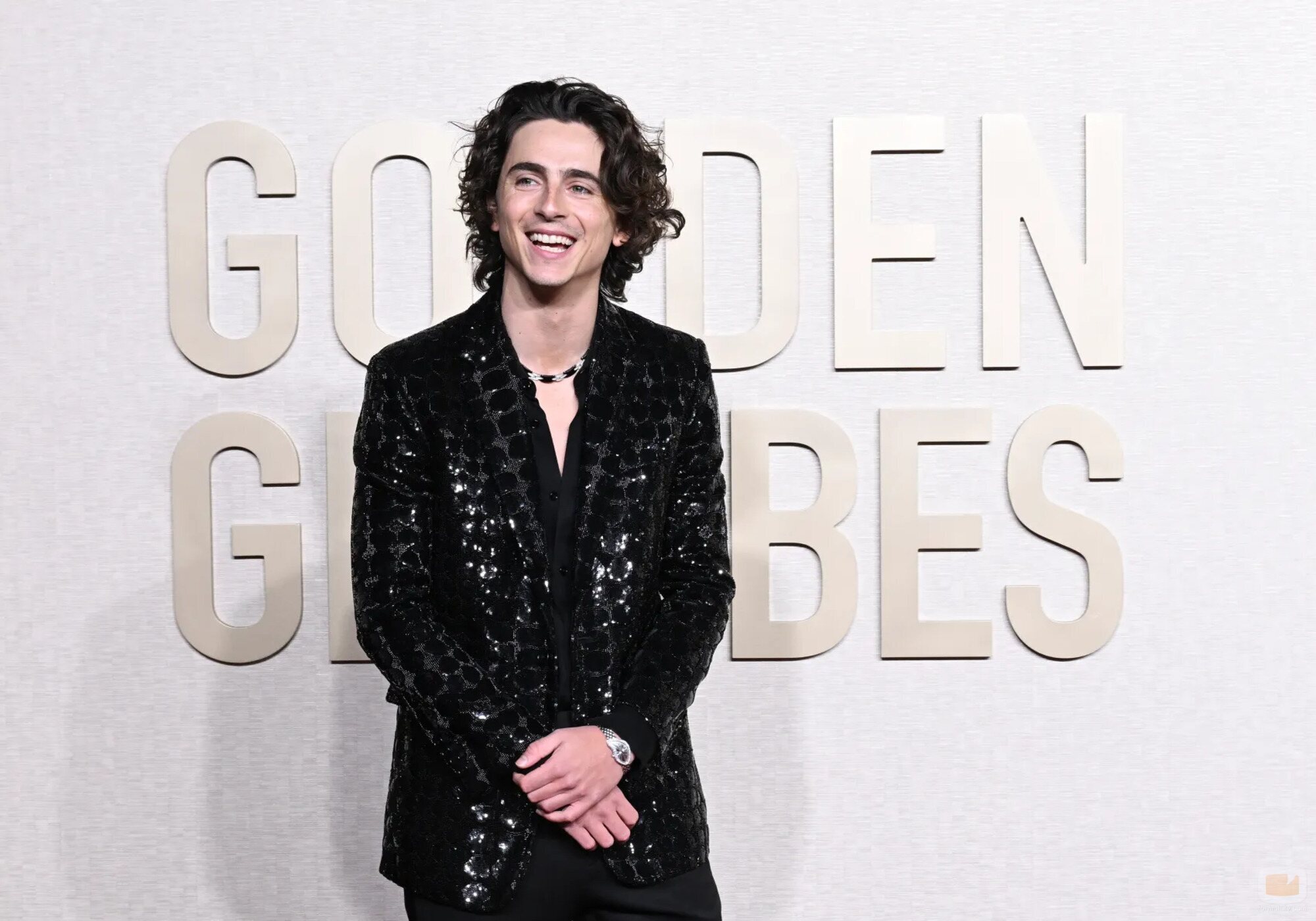 Timothée Chalamet en la alfombra roja de los Globos de Oro 2024