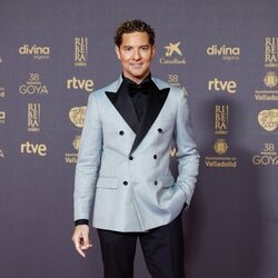 David Bisbal en la alfombra roja de los Premios Goya 2024