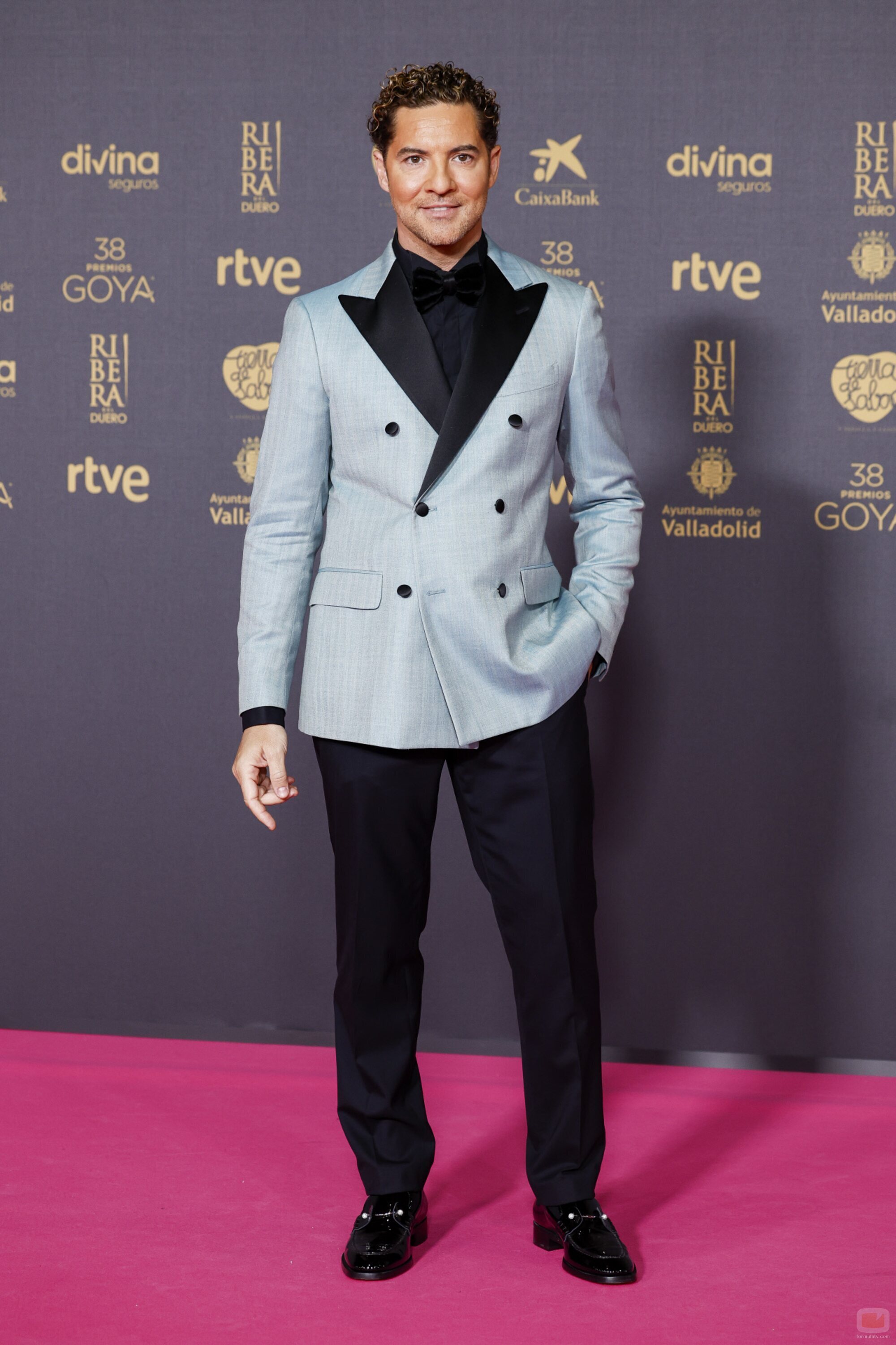 David Bisbal en la alfombra roja de los Premios Goya 2024