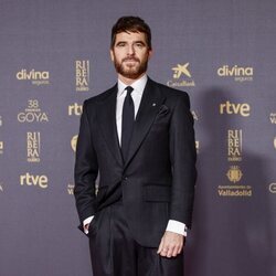 Alfonso Bassave en la alfombra roja de los Premios Goya 2024