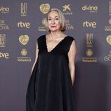 Luisa Gavasa en la alfombra roja de los Premios Goya 2024