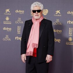 Pedro Almodóvar en la alfombra roja de los Premios Goya 2024