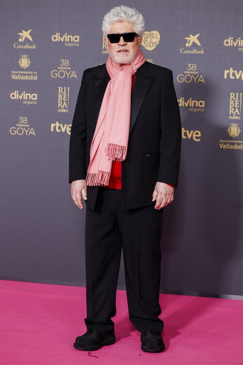 Pedro Almodóvar en la alfombra roja de los Premios Goya 2024