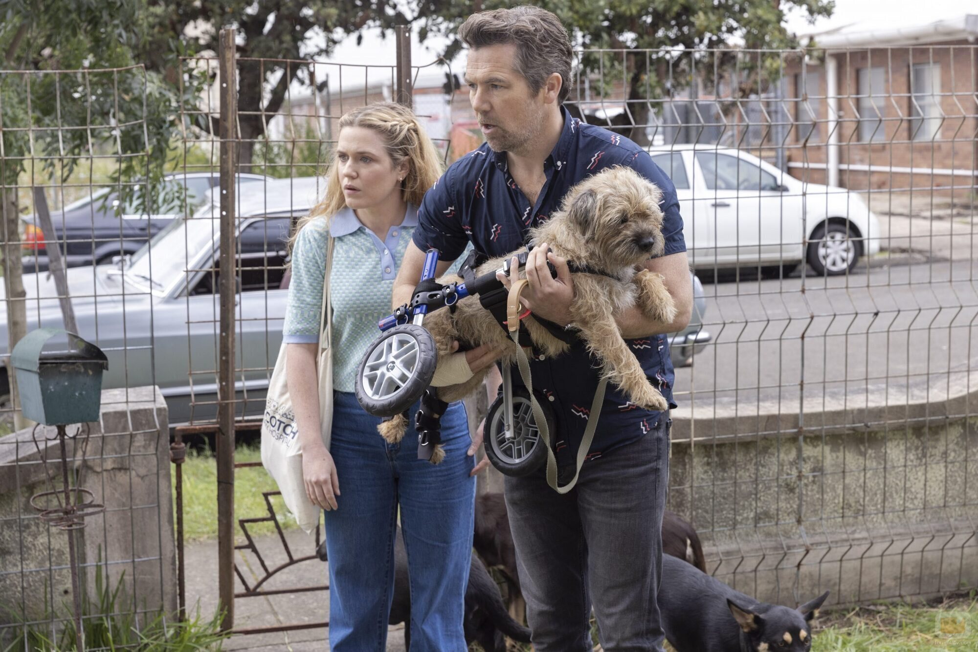 Harriet Dyer y Patrick Brammall en 'Colin de Cuentas'