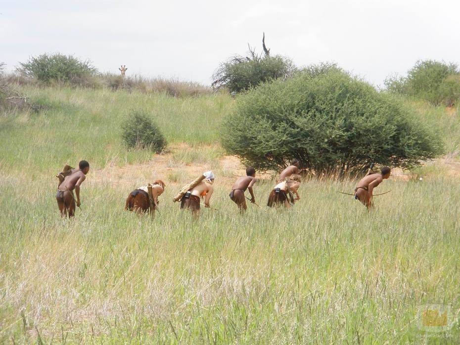 'Perdidos en la Tribu' de Cuatro