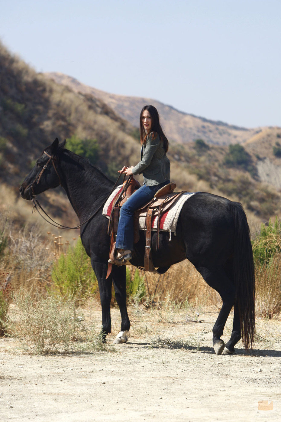 Sarah Shahi es Dani Reese en 'Life'