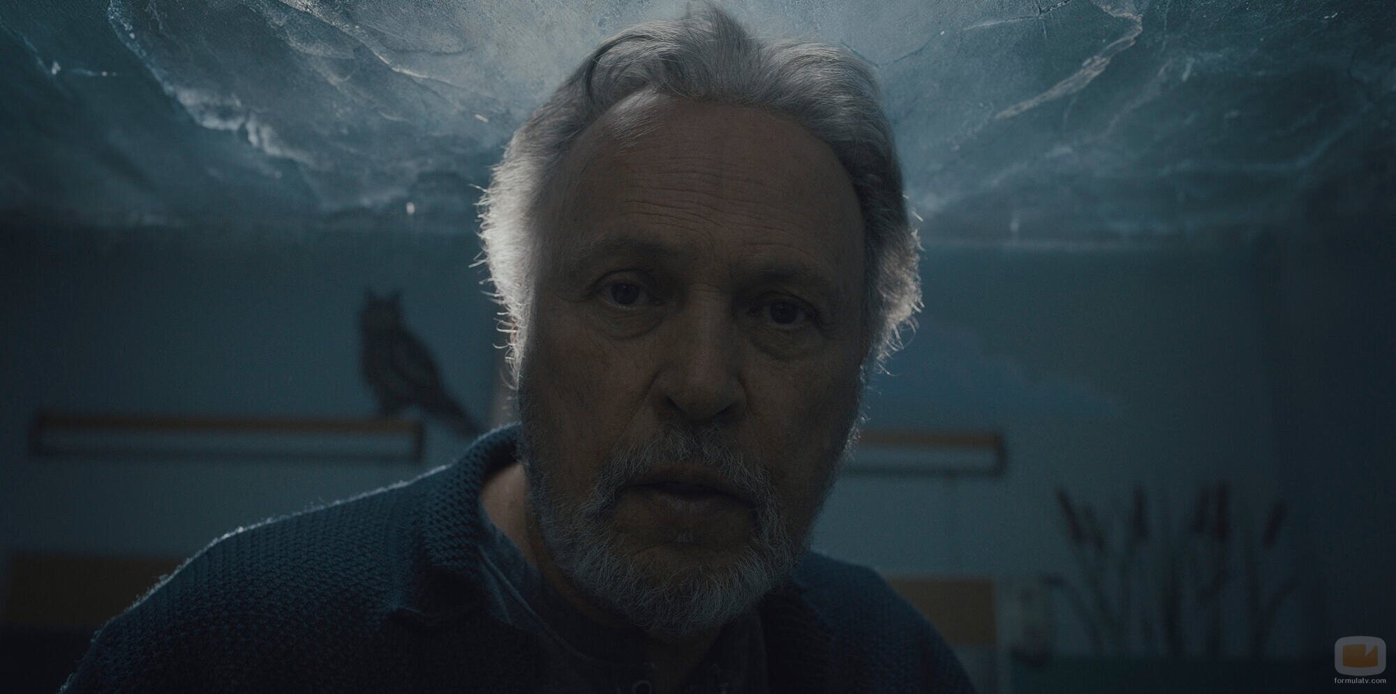 Billy Crystal en la temporada 1 y el capítulo 03 de 'Before'