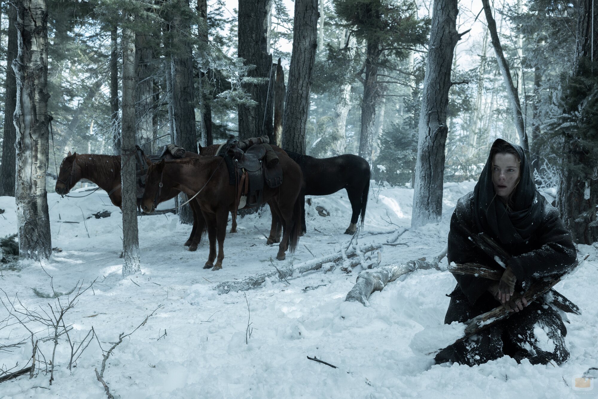 Betty Gilpin en 'Episodio 4' de 'American Primeval'