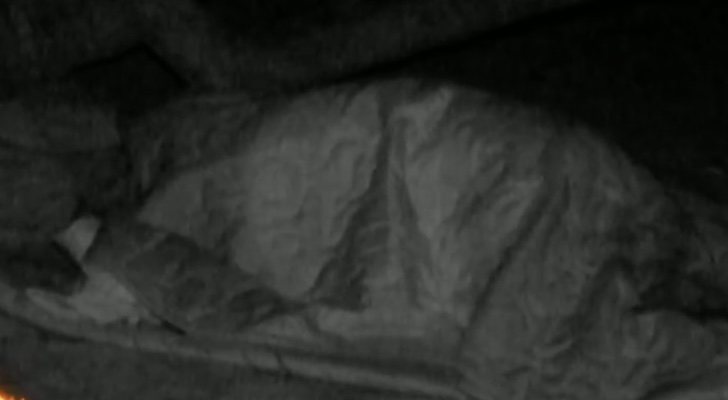 Hugo Sierra e Ivana Icardi hacen edredoning en 'Supervivientes'