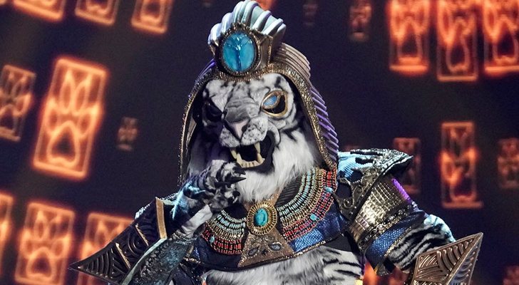 &#39;The Masked Singer&#39;