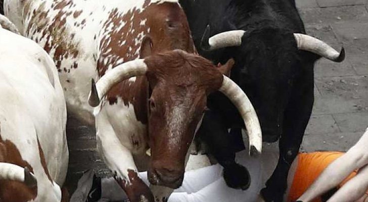 Encierro de Sanfermines 2019