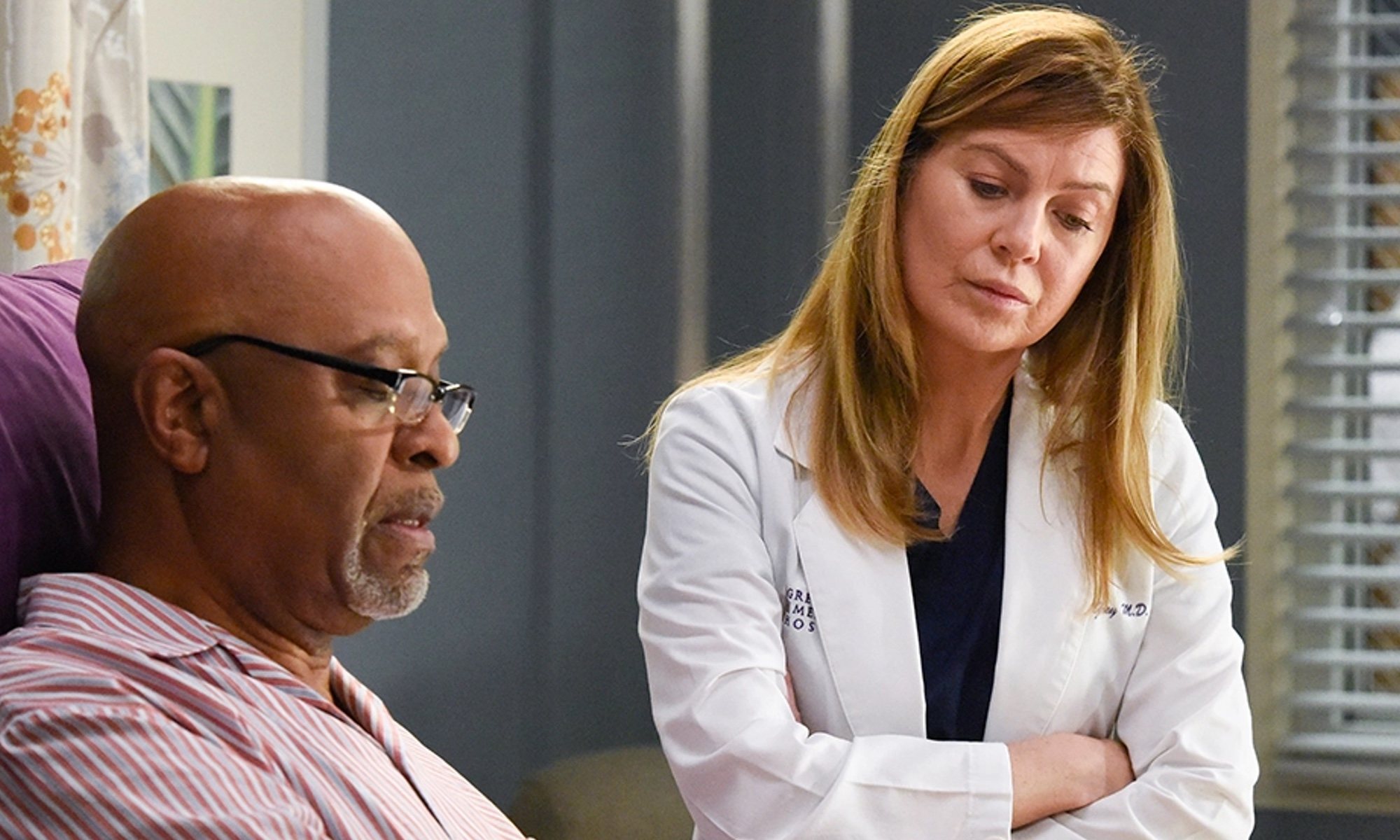Richard Webber y Meredith Grey en 'Anatomía de Grey'