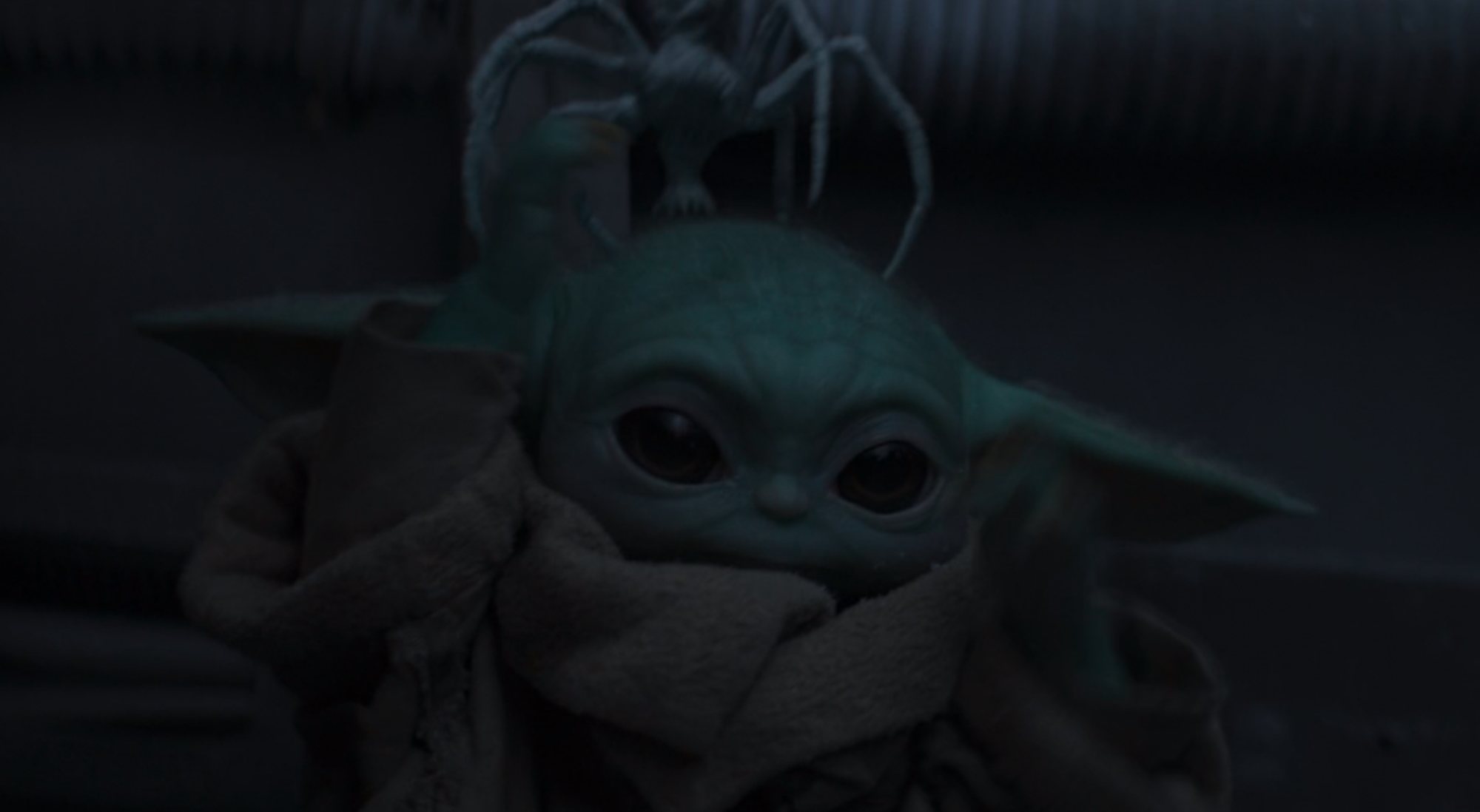 Las arañas se vengan de Baby Yoda