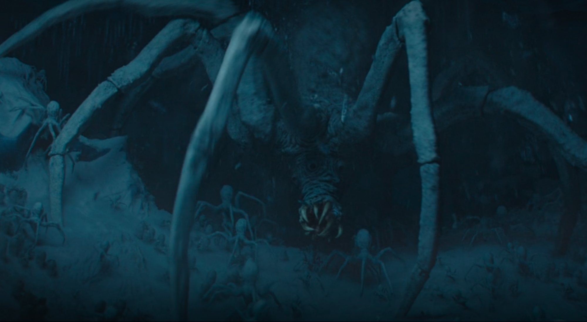 Las terroríficas arañas en 'The Mandalorian'