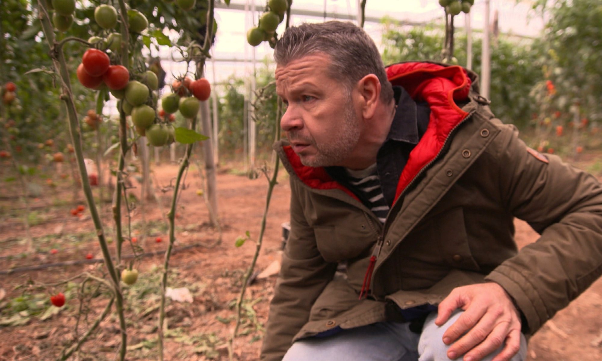 Alberto Chicote, mirando tomates en el especial de comida eco de &#39;¿Te lo vas a comer?&#39;