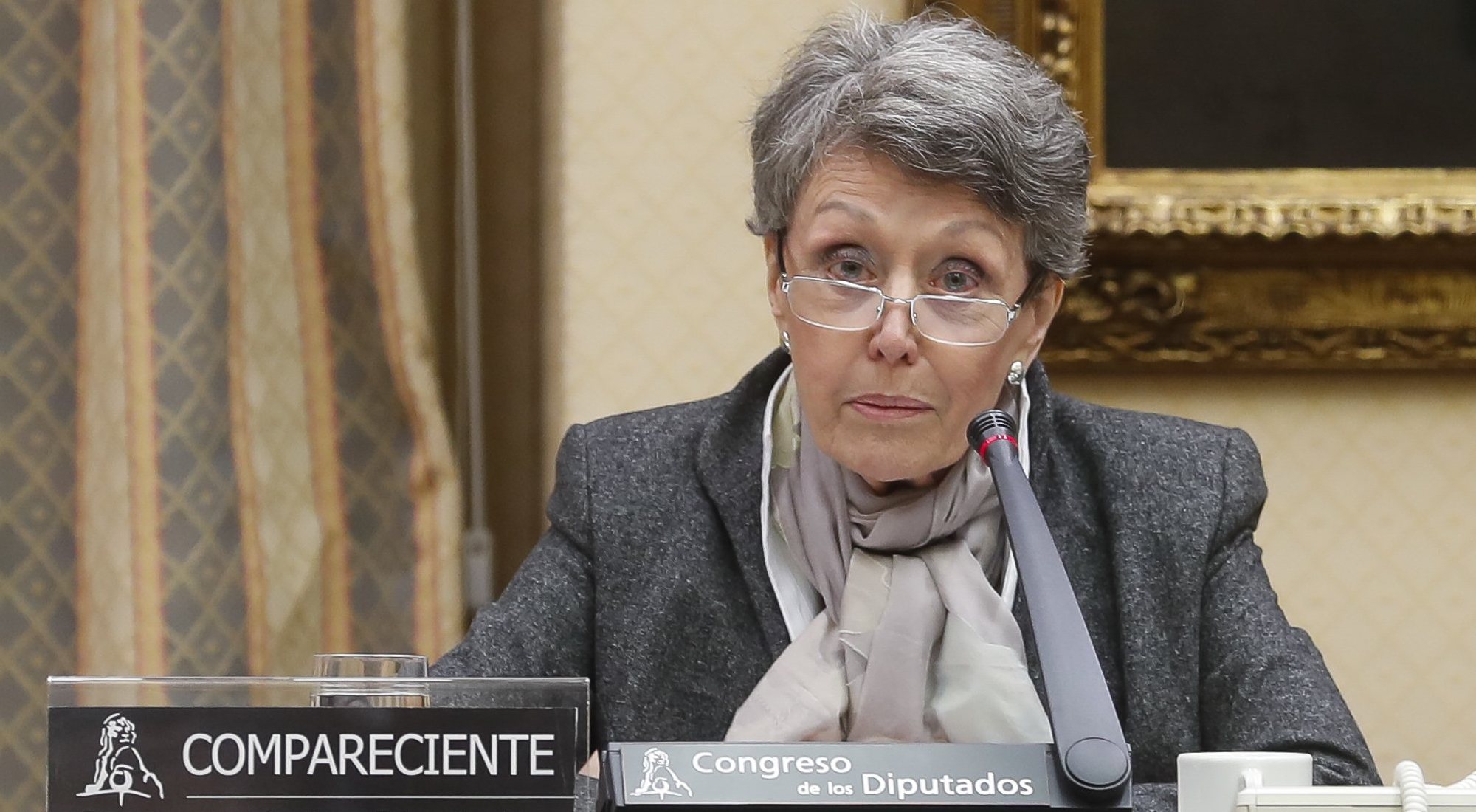 Rosa María Mateo en el Congreso de los Diputados
