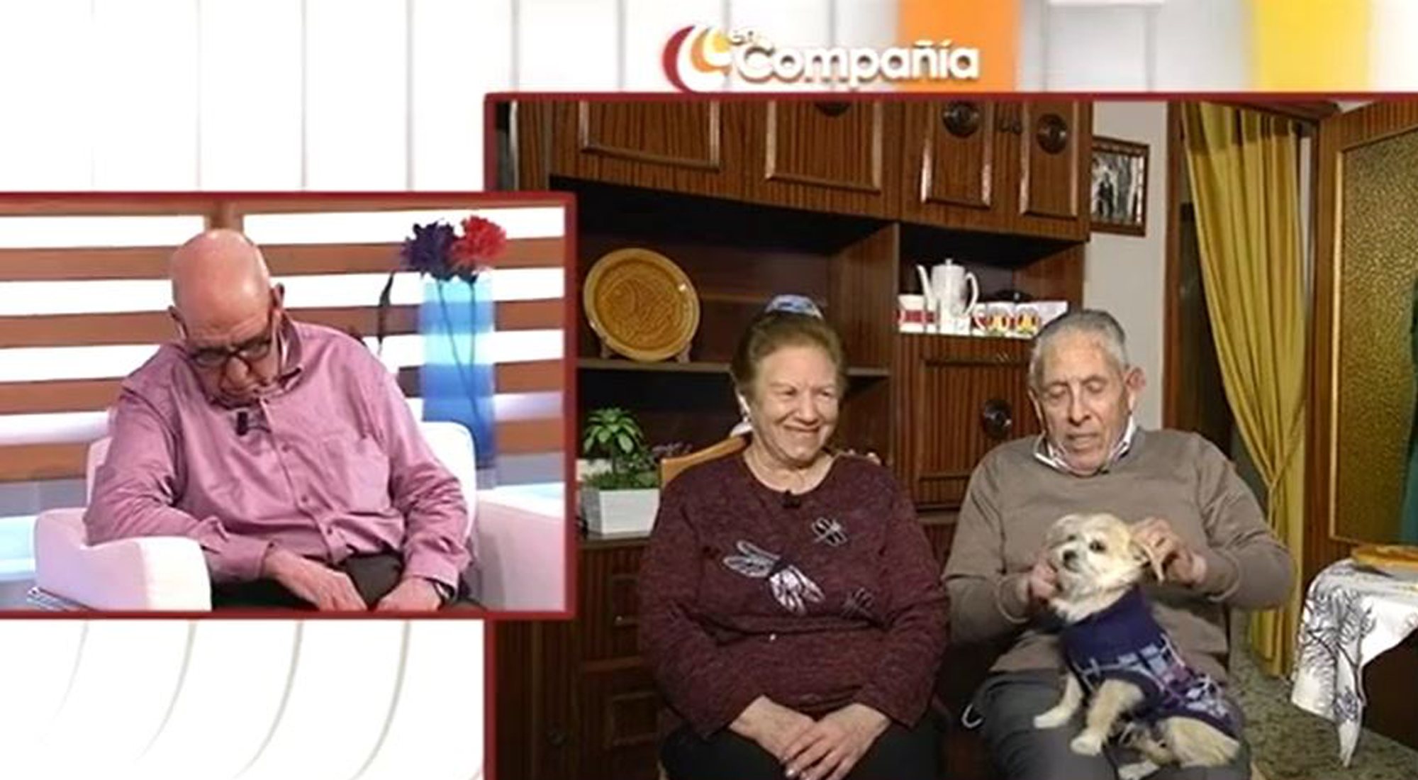 Un invitado de 'En compañía' se queda dormido en directo