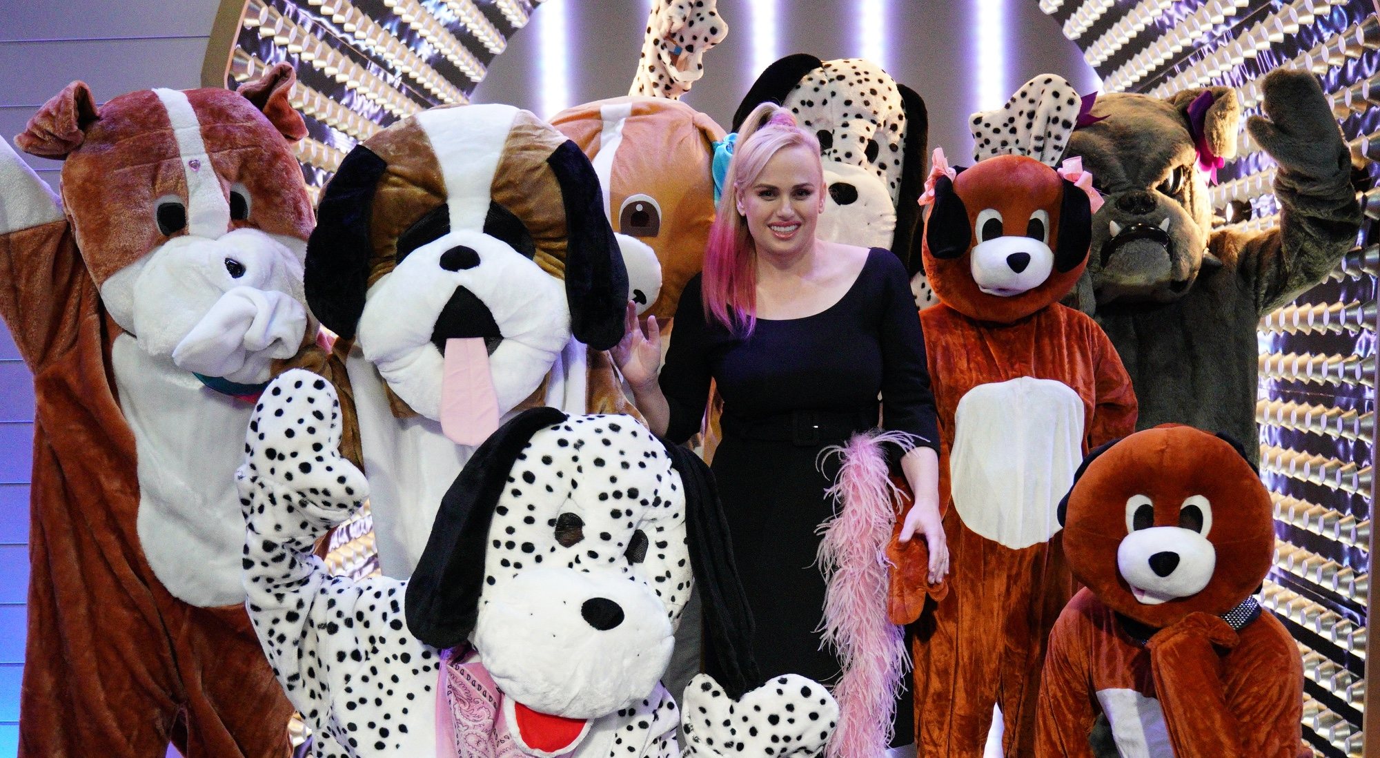 &#39;Pooch Perfect&#39;