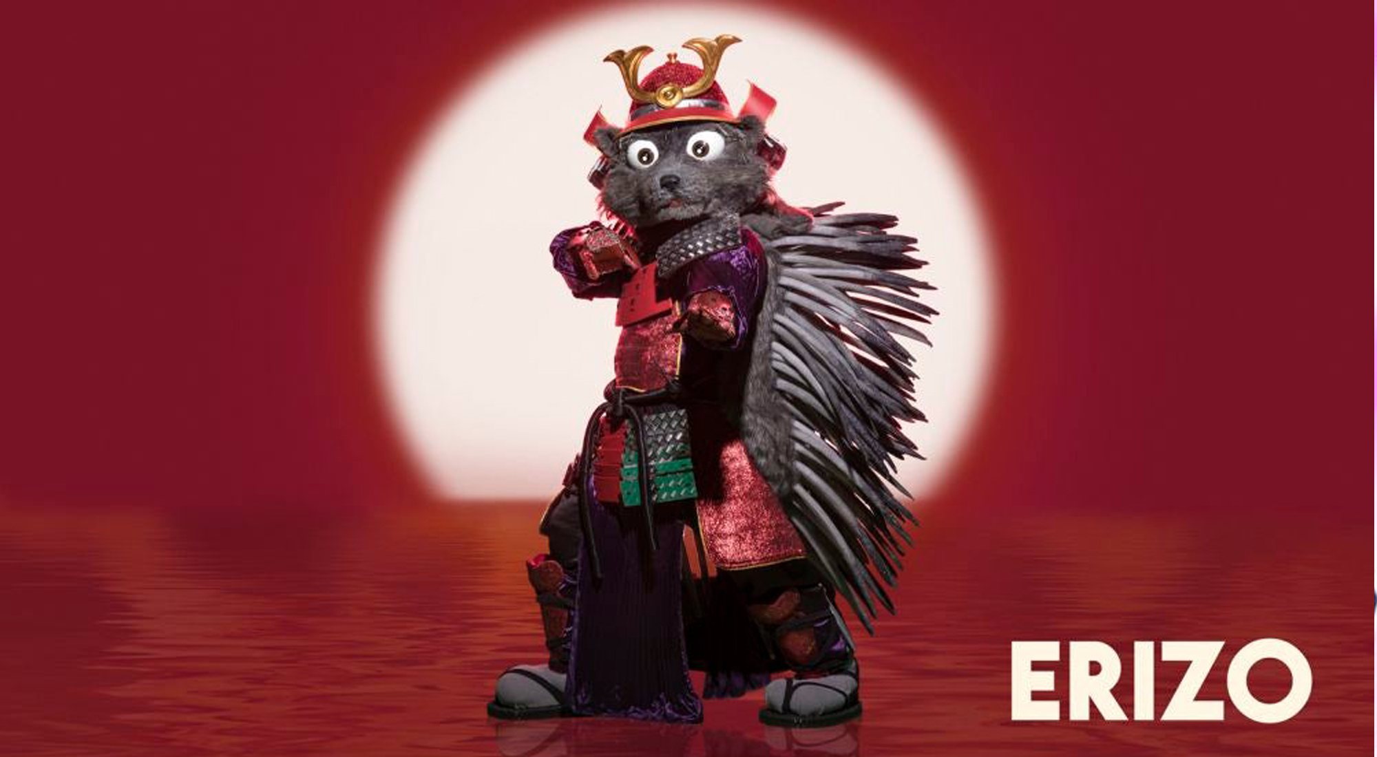 Erizo, máscara de 'Mask Singer 2'