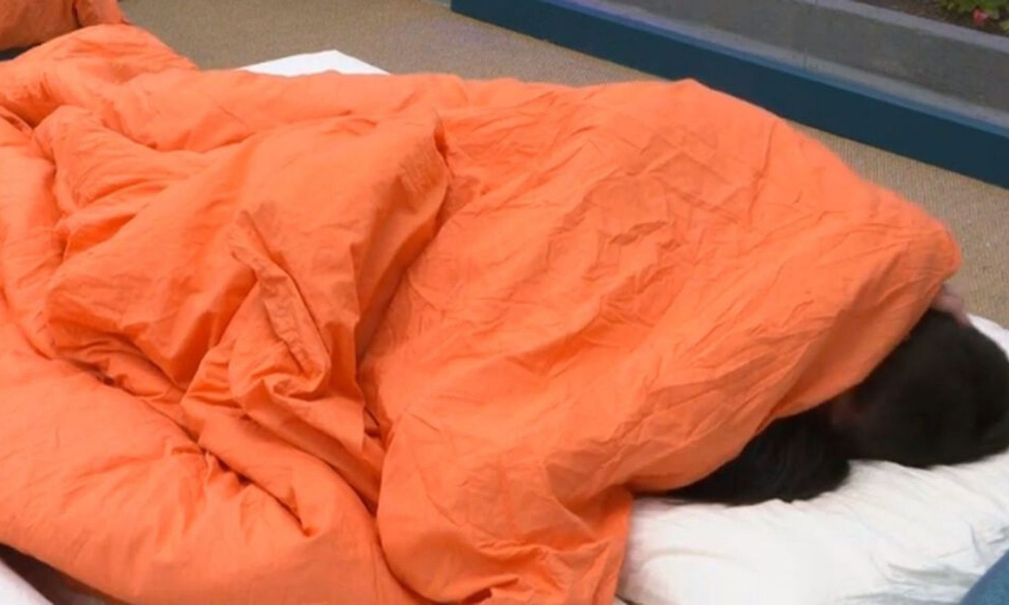 Edredoning de Sandra Pica y Julen de la Guerra en &#39;Secret Story&#39;