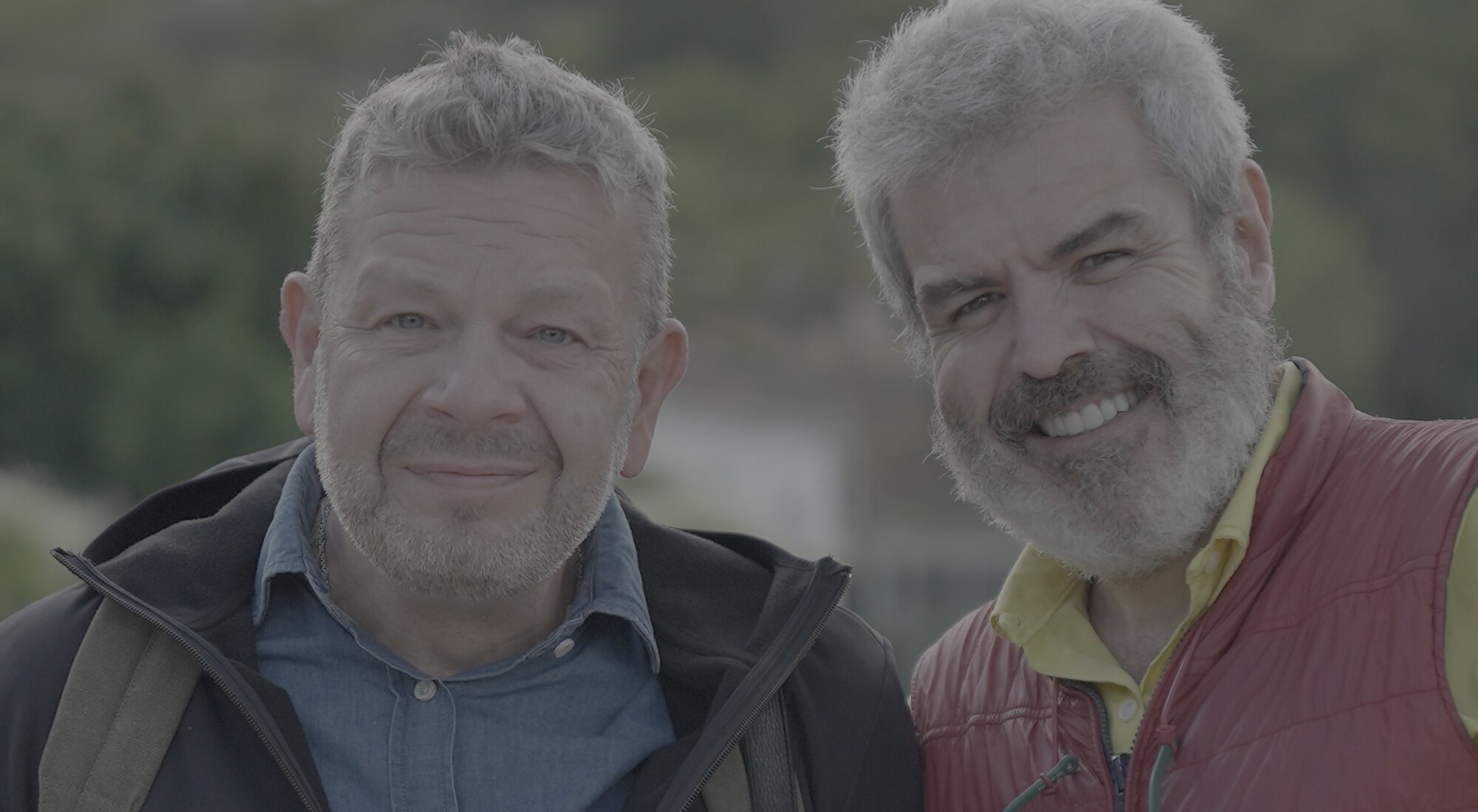 Descripción de la imagen