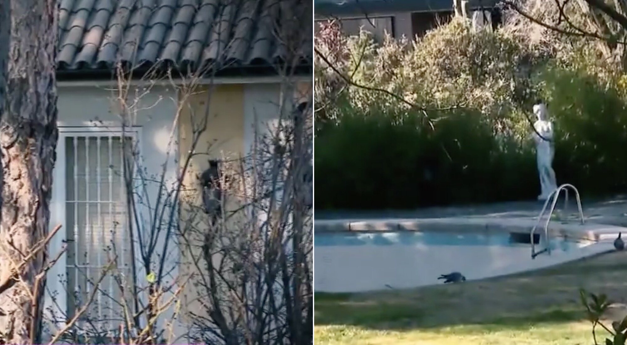 Exteriores de Montealto, en enero de 2022