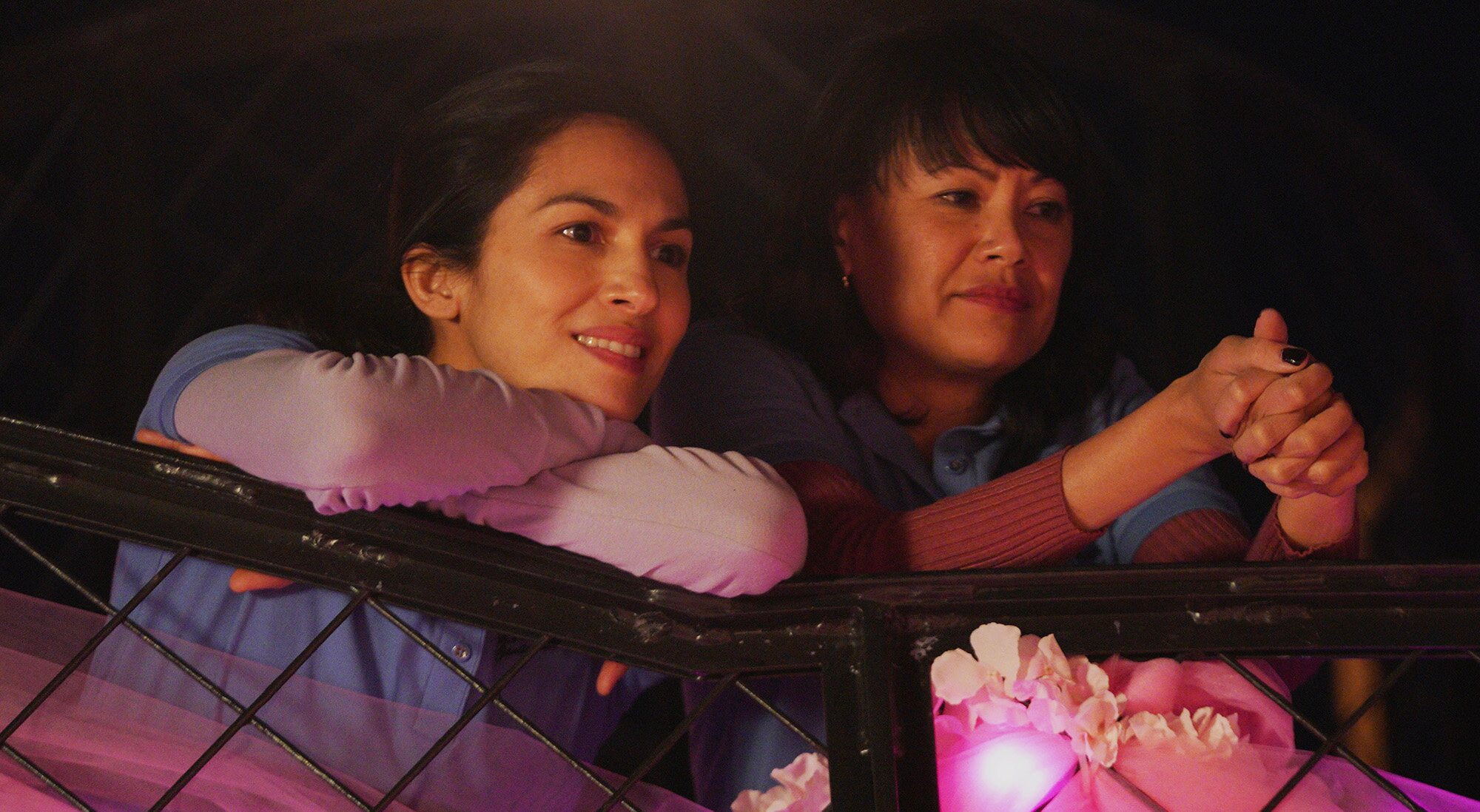 &#39;The Cleaning Lady&#39;