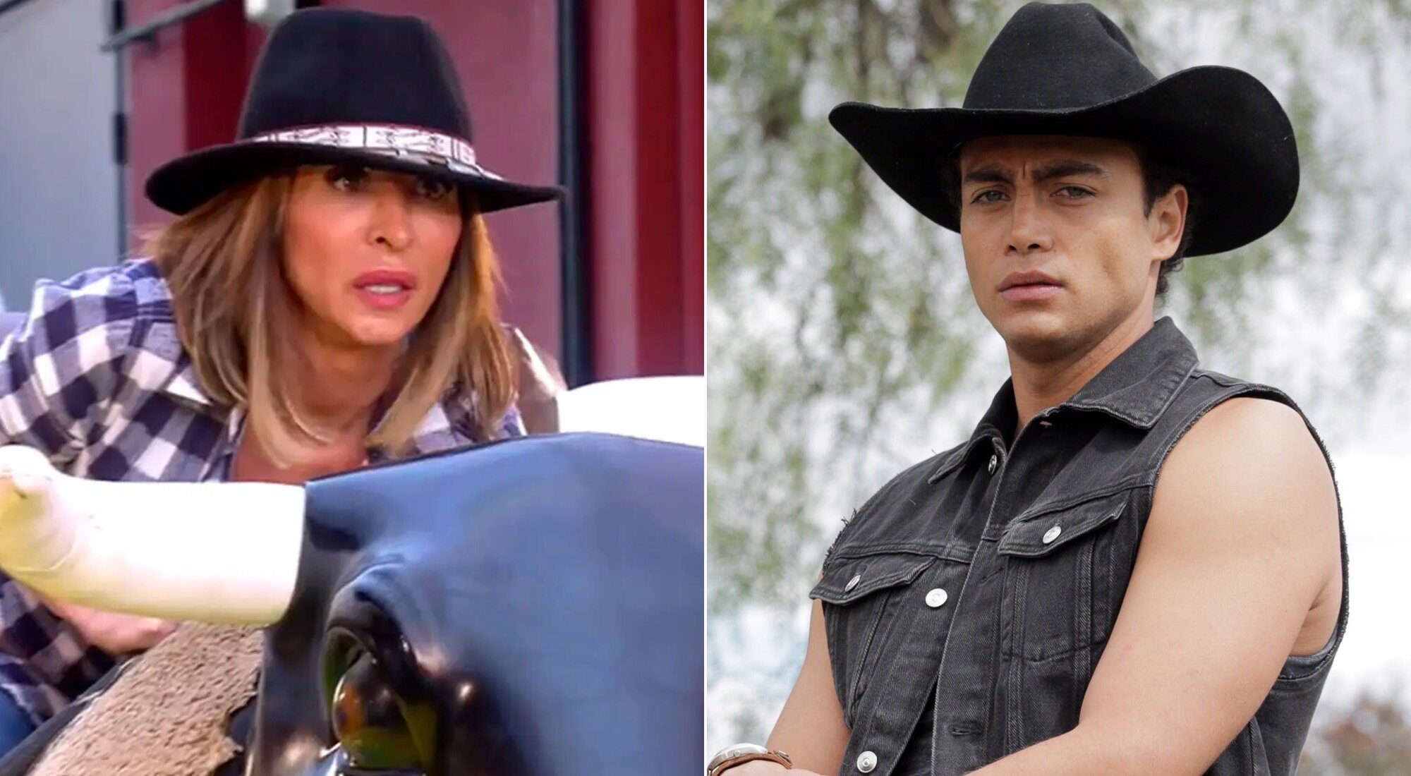 &#39;Sálvame&#39; y &#39;Pasión de Gavilanes&#39;