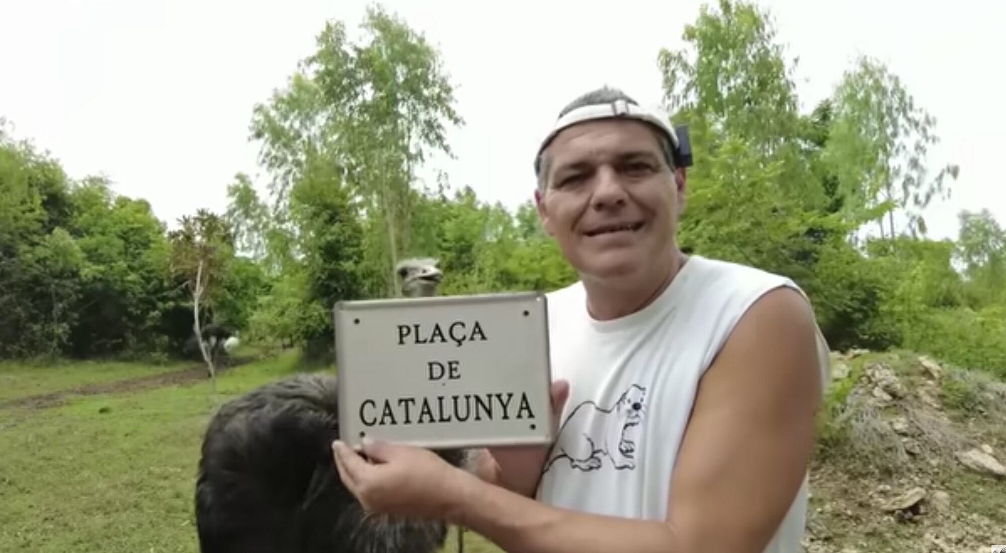 Frank Cuesta en su canal de Youtube