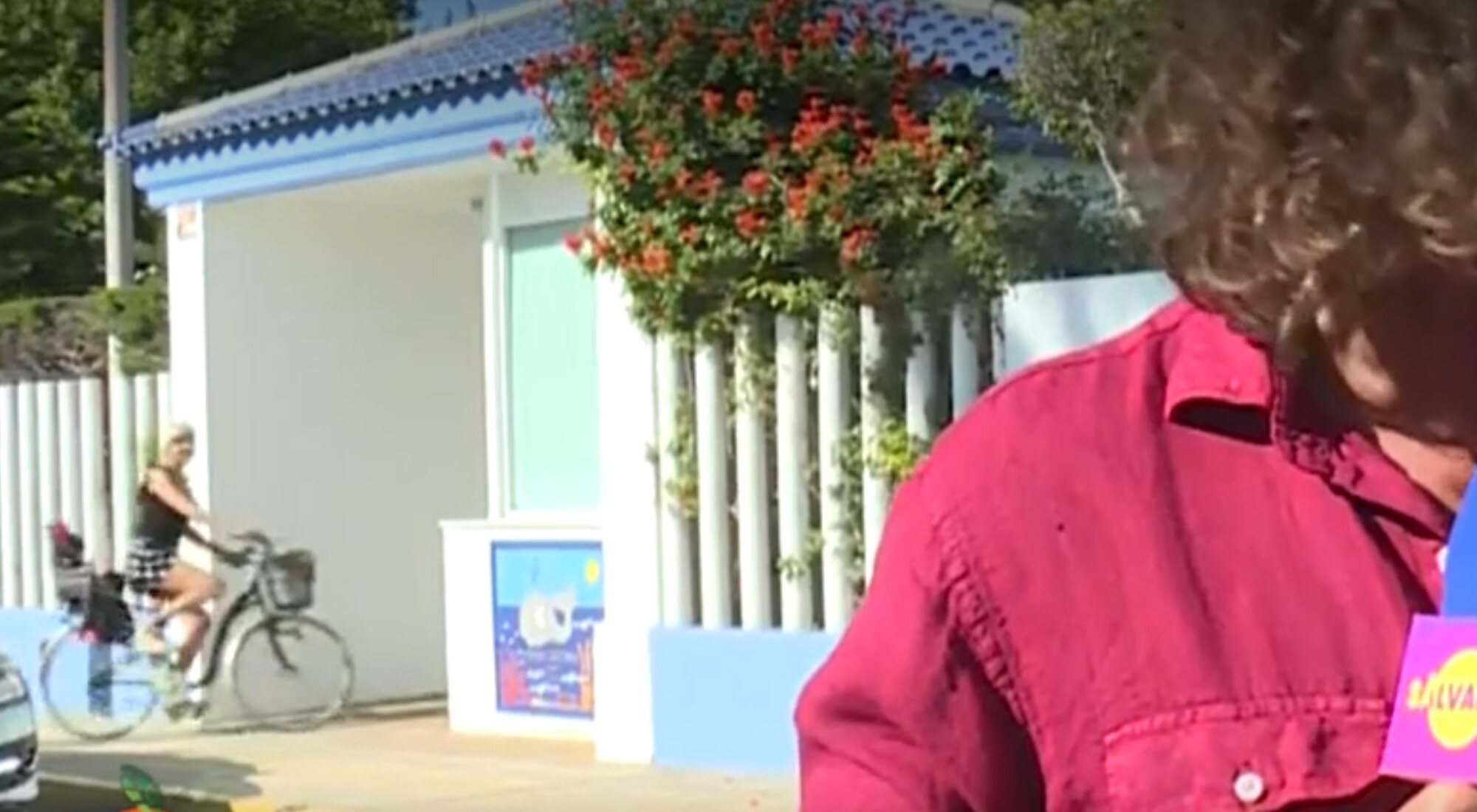 Ana María Aldón captada en 'Sálvame'