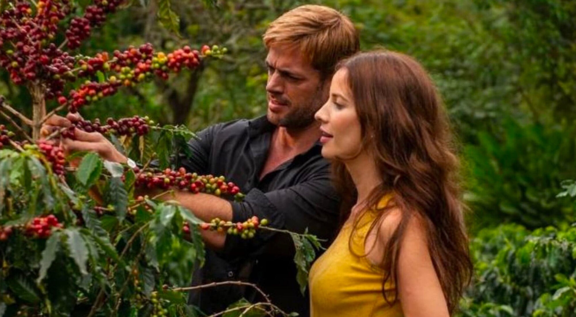 &#39;Café con aroma de mujer&#39;