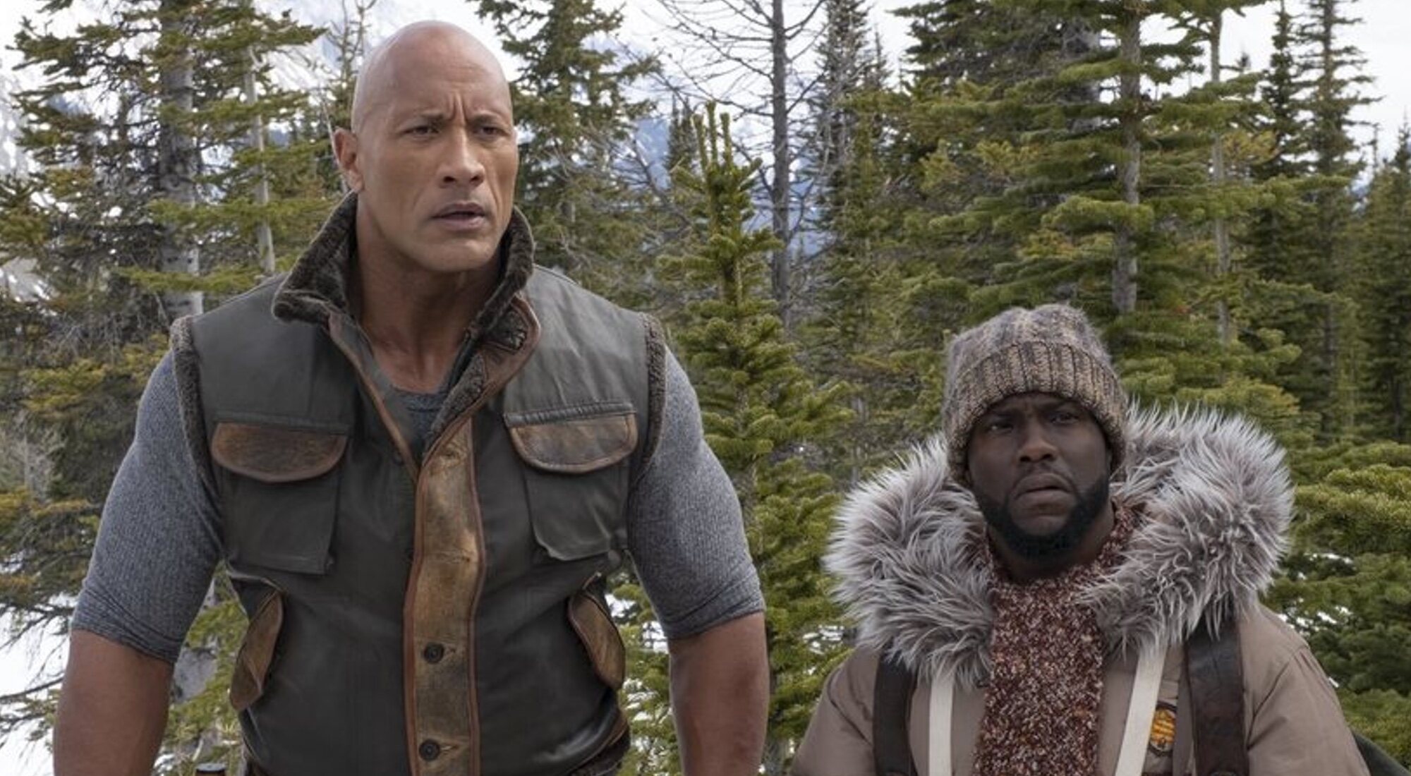 Descripción de la imagen