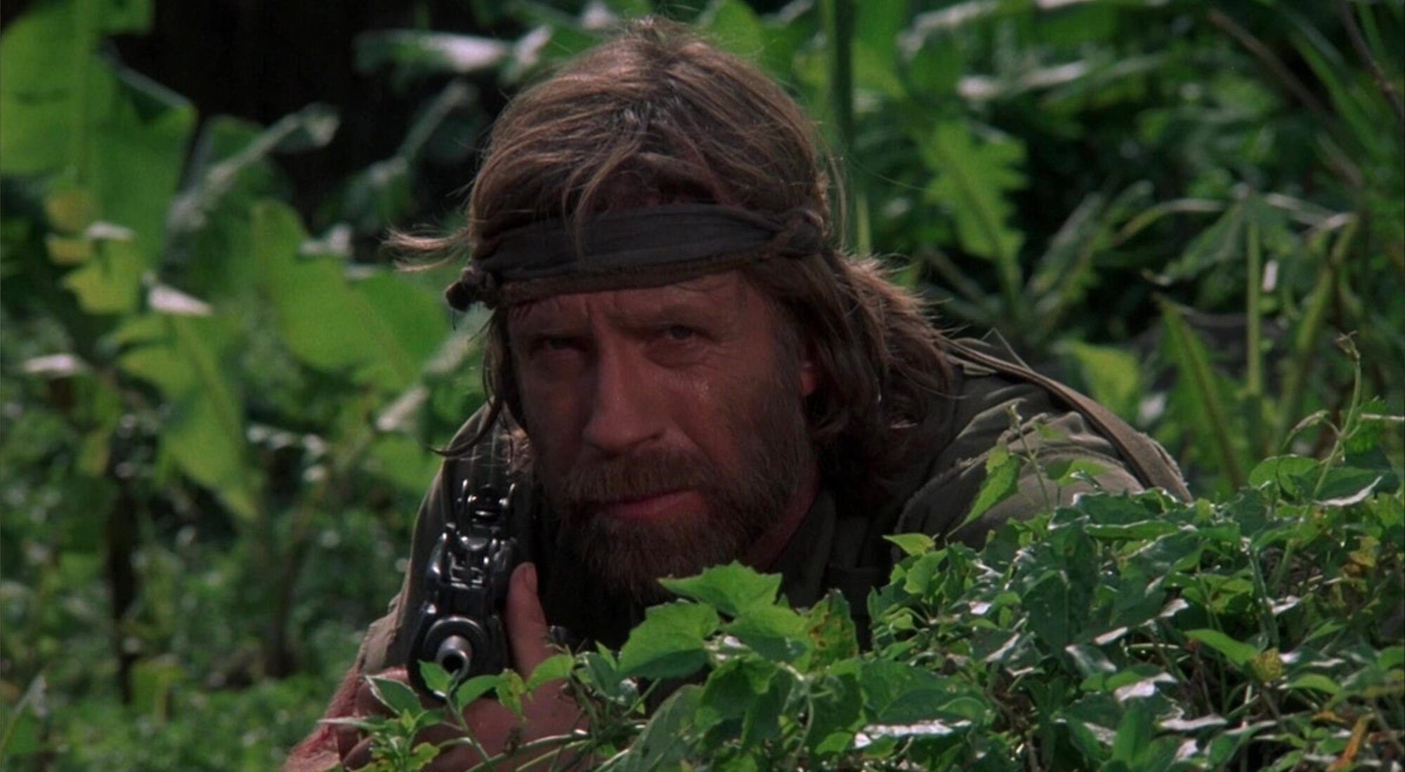 "Desaparecido en combate 2"