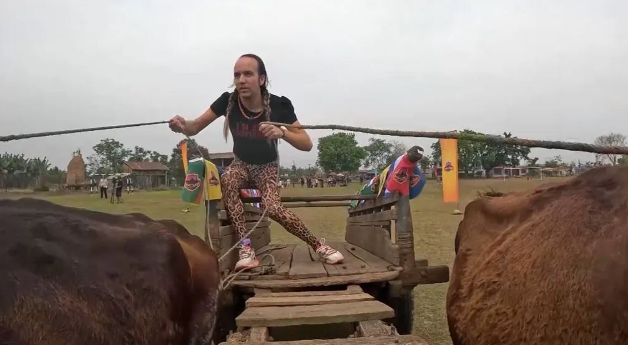 'En busca del Nirvana'