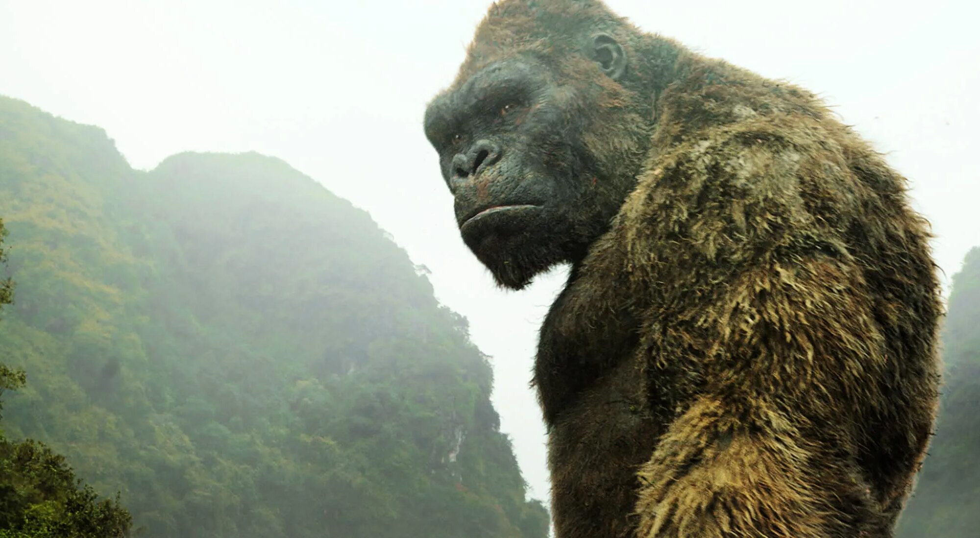 'Kong: La Isla Calavera'