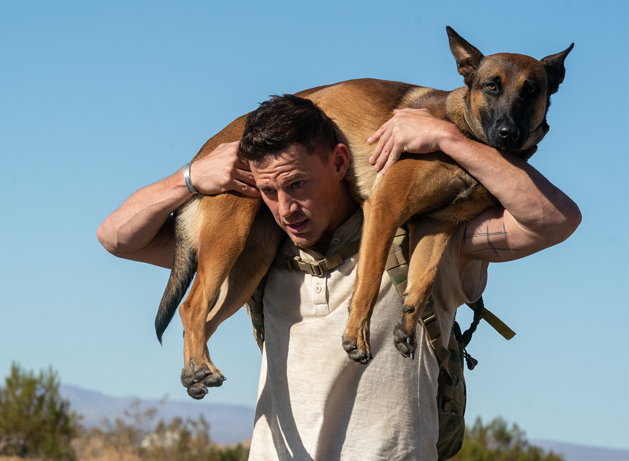 'Dog: un viaje salvaje' lidera en TDT durante la jornada del sábado