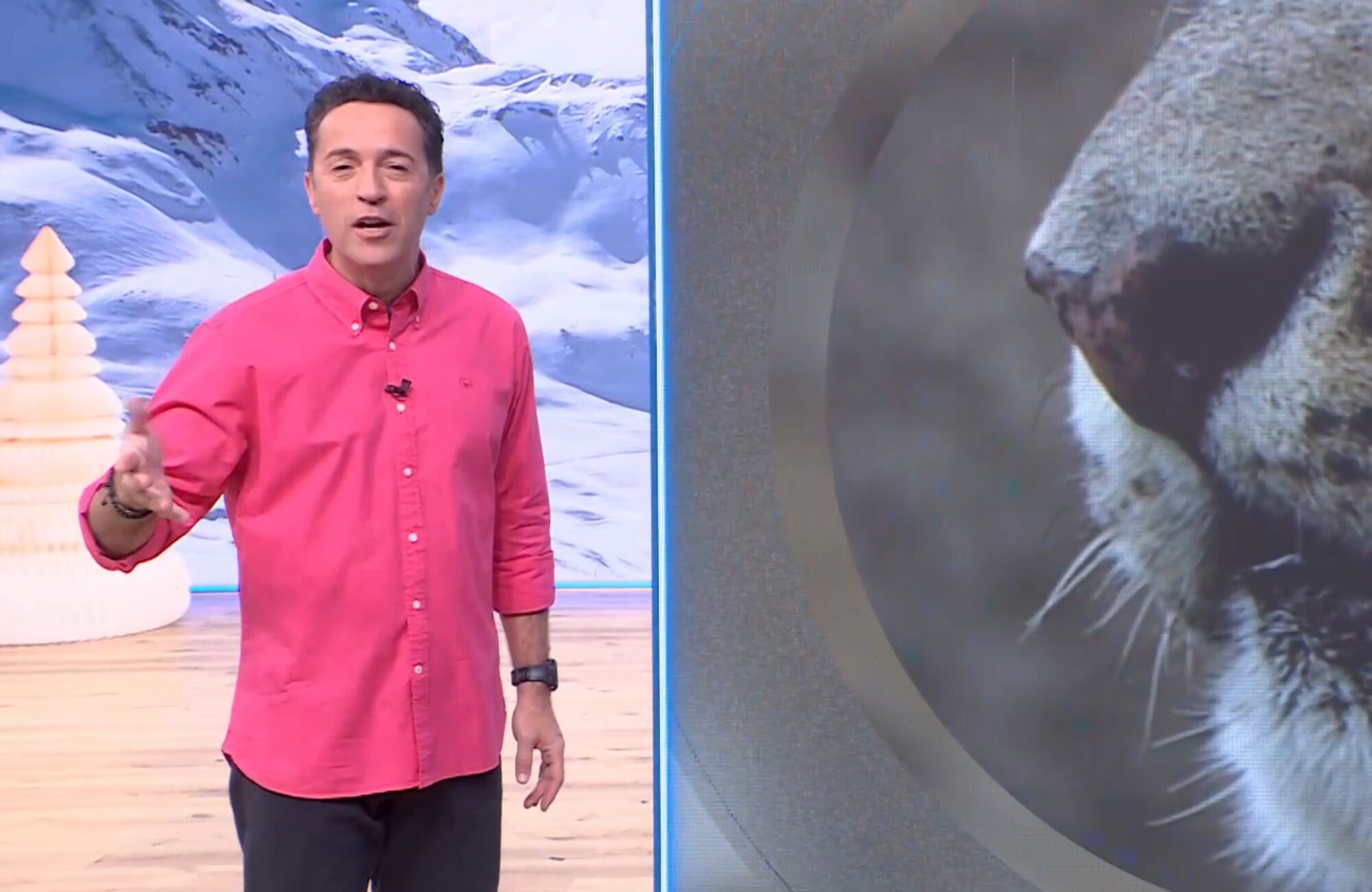 'Aquí la Tierra' es lo más visto de la tarde de La 1