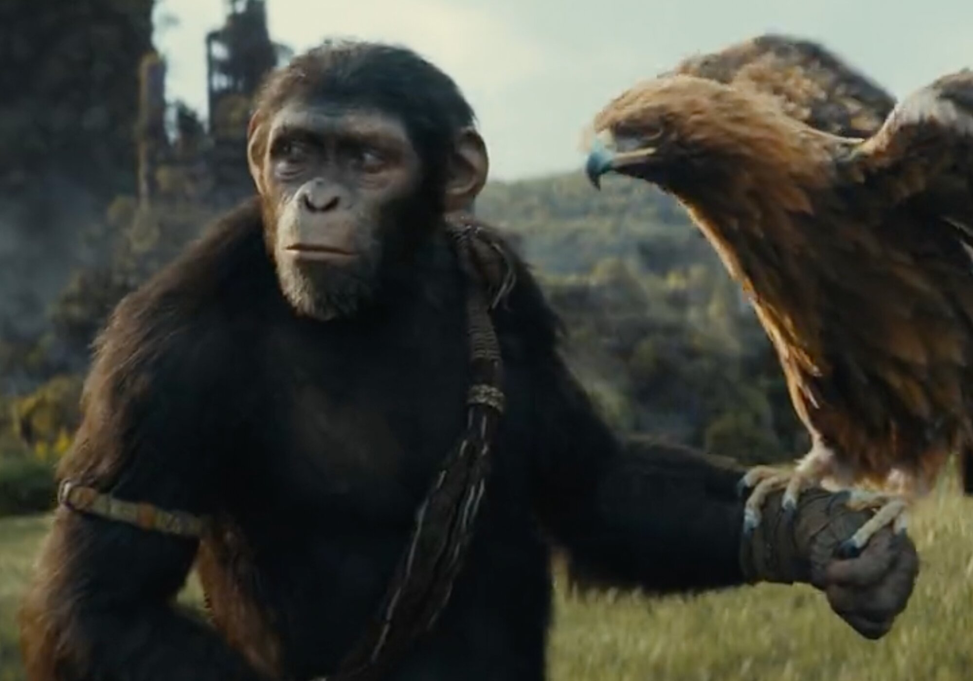 'El reino del planeta de los simios' contribuye al liderato de FDF