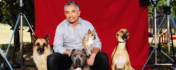 'El líder de la manada' llega a Cuatro este viernes a las 21:30 horas